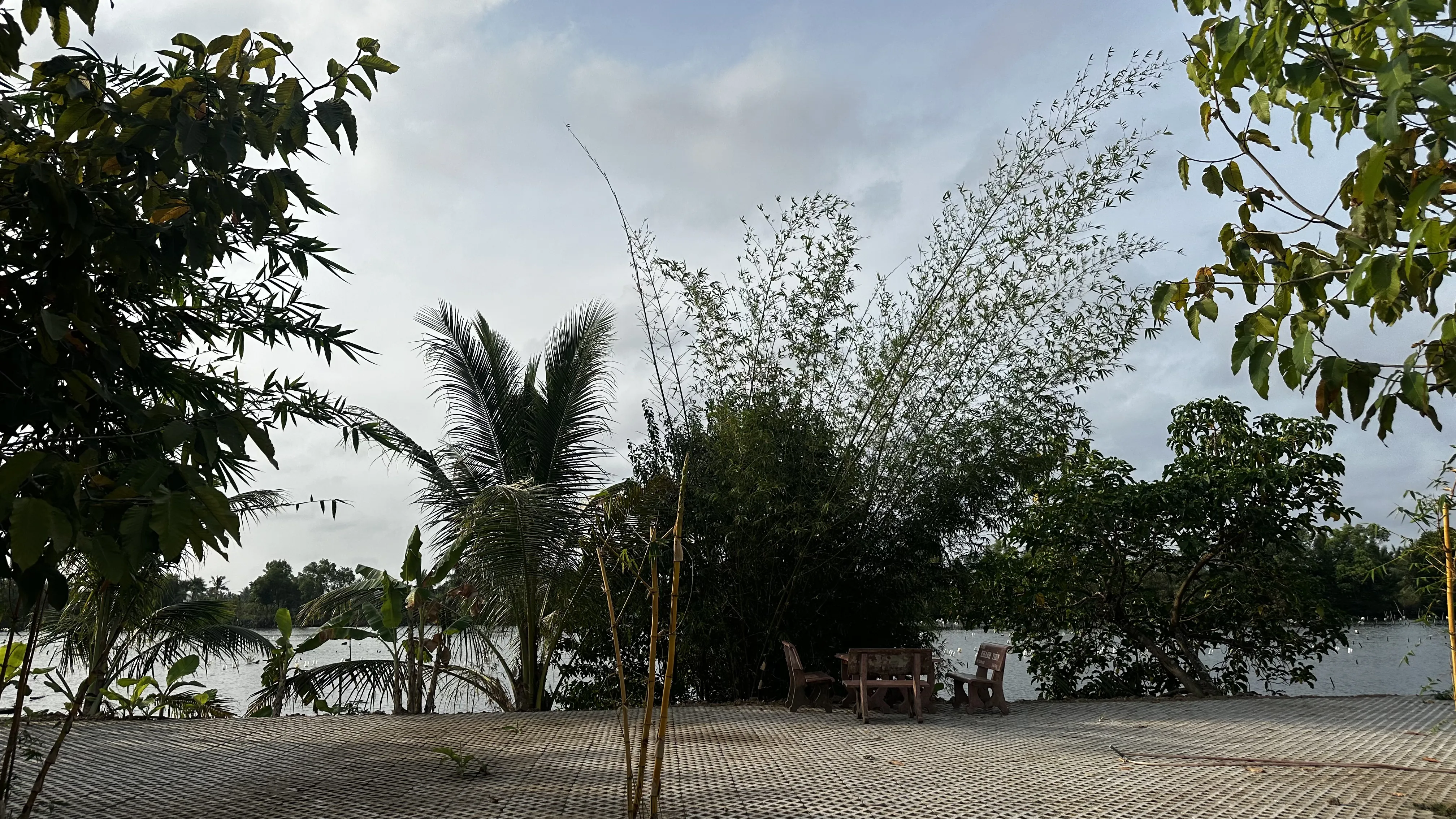 Hoàng hôn bên bờ sông Yên